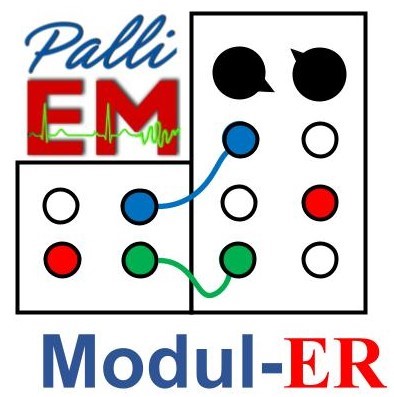 Module-ER-logo